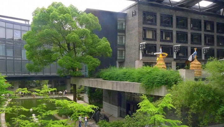  在四川康復(fù)治療專(zhuān)業(yè)工資一般多少