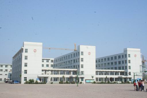 德州新星職業(yè)學(xué)校齊魯學(xué)院有哪些專業(yè)設(shè)置？