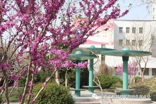 2020年山東工程技師學(xué)院什么時候開始招生？
