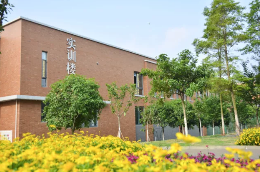 成都衛(wèi)校師資力量