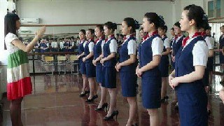 成都市航空學(xué)?？粘朔?wù)專業(yè)培養(yǎng)方案