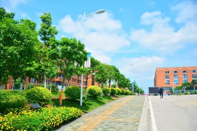 四川托普計(jì)算機(jī)職業(yè)學(xué)校2020年錄取分?jǐn)?shù)線