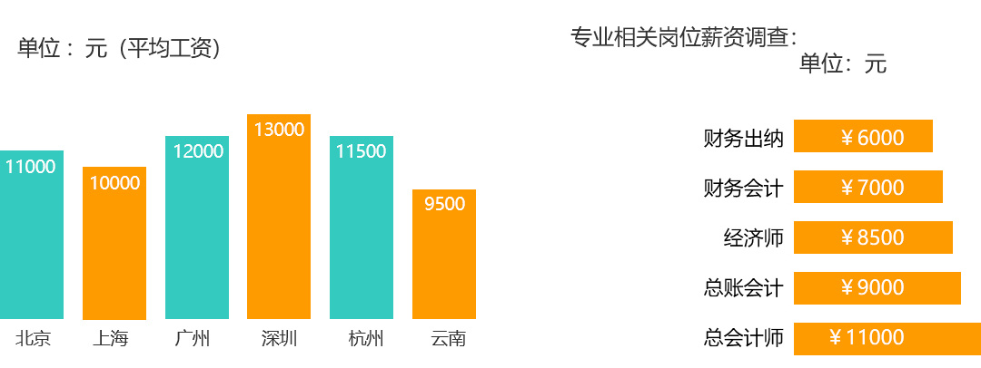 會(huì)計(jì)專業(yè)