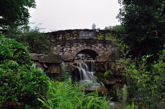 重慶理工大學(xué)醫(yī)學(xué)院有哪些專(zhuān)業(yè)及什么專(zhuān)業(yè)好