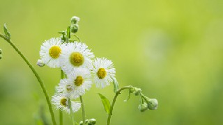 四川省成都市財(cái)貿(mào)職業(yè)高級(jí)中學(xué)校怎樣報(bào)名？