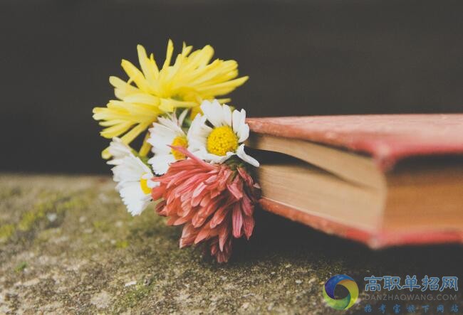  貴陽幼兒師范高等?？茖W(xué)校2021年分類考試招生簡章