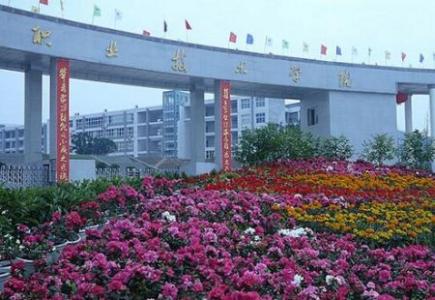  四川職業(yè)技術學院2021年單獨招生錄取分數(shù)線