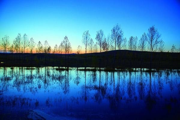 貓毛團(tuán)阻塞腸道嗎，幼貓吃了毛團(tuán)能吐嗎，貓會吐毛團(tuán)嘛