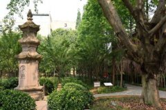  四川國際標(biāo)榜職業(yè)學(xué)院辦學(xué)理念